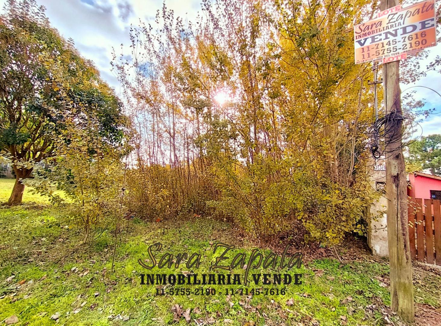 Foto de GRAN LOTE DE TERRENO BALDÍO 20*57,5 SAN CLEMENTE VENDE Sara Zapata, imagen 4