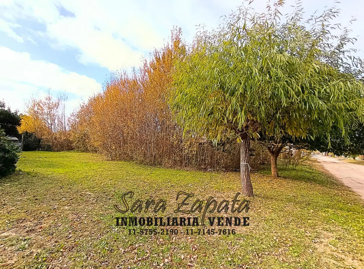 GRAN LOTE DE TERRENO BALDÍO 20*57,5 SAN CLEMENTE VENDE Sara Zapata Inmobiliaria 8