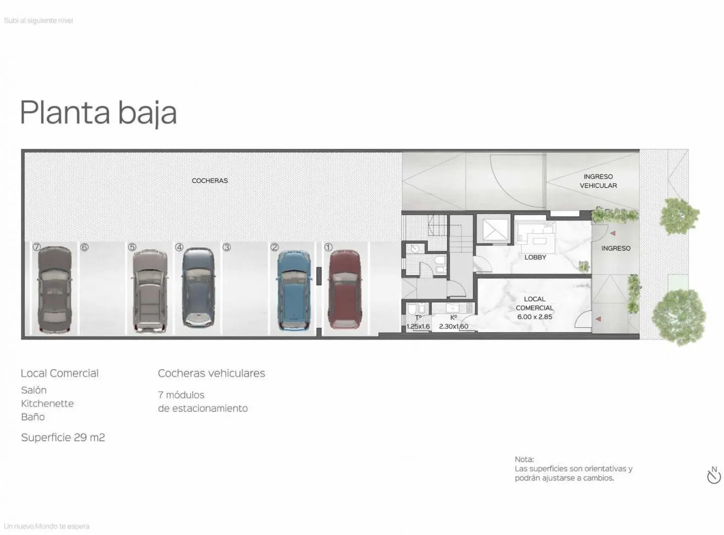 Plano 1