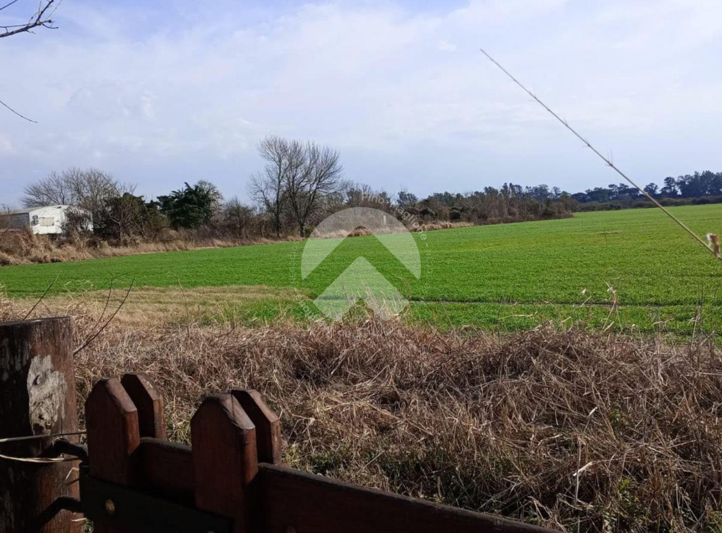 Foto de VENTA CAMPO MONTE VERA - 800 MTS DE A RUTA - ARCO COSTA, imagen 3