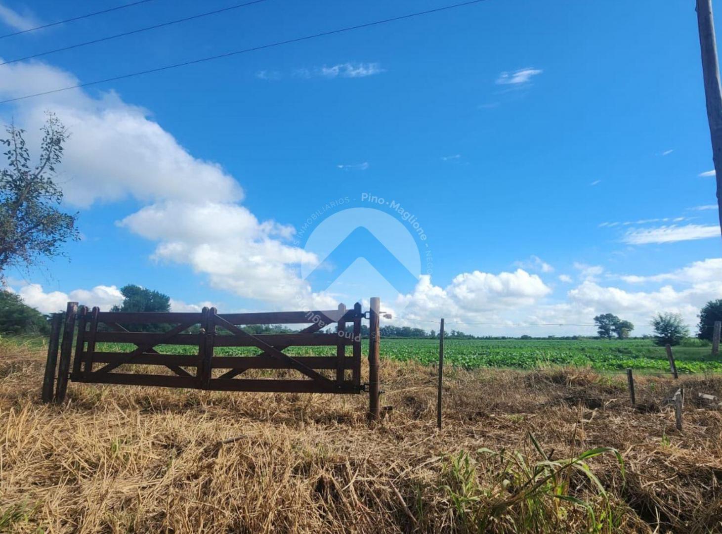 Foto de VENTA CAMPO MONTE VERA - 800 MTS DE A RUTA - ARCO COSTA, imagen 3