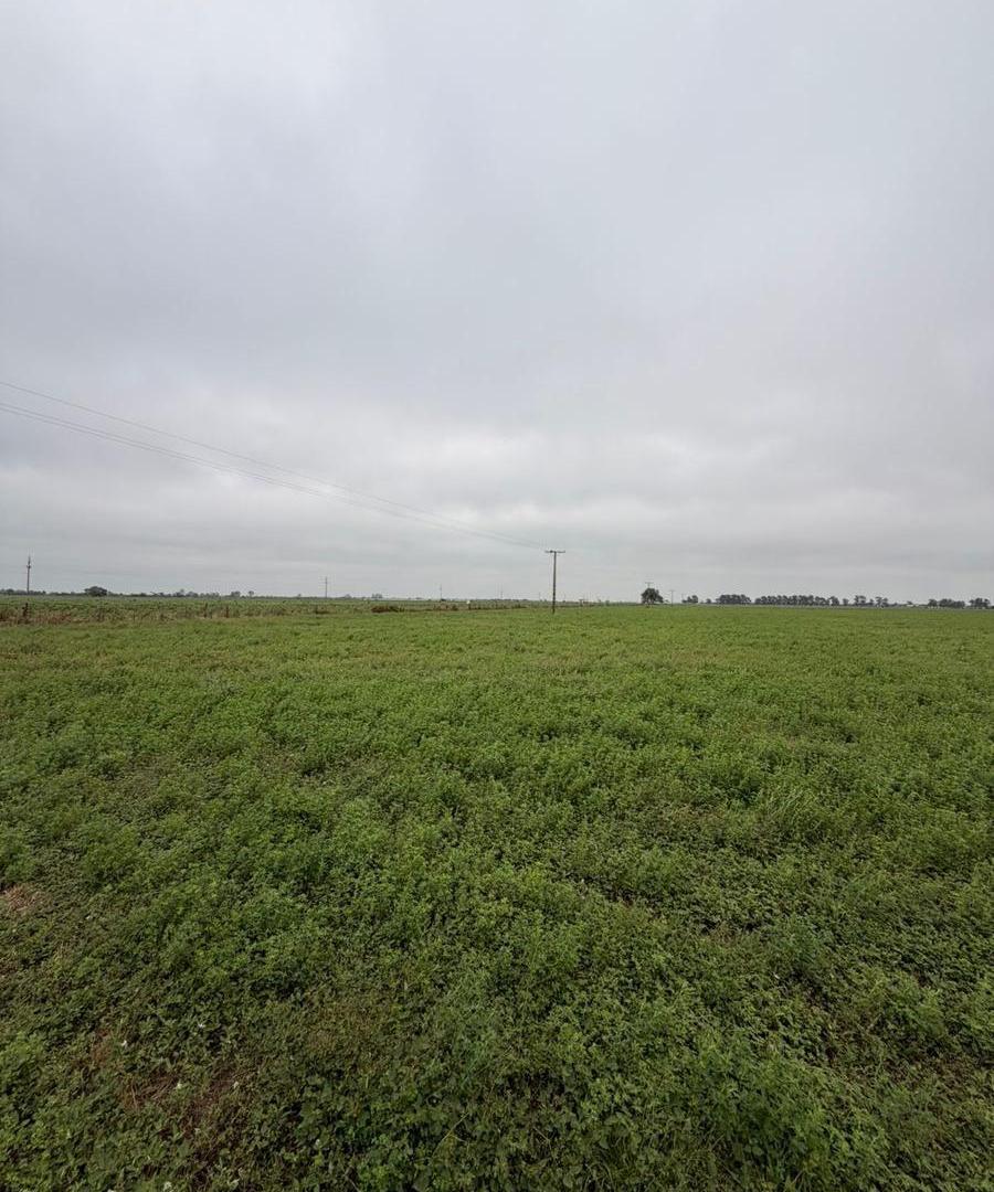 Foto de Campo en Arrufo, imagen 3