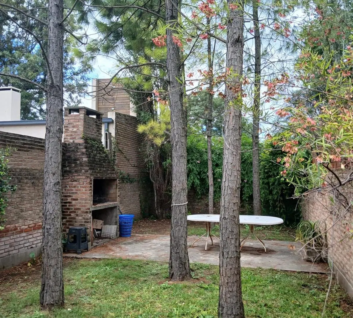 Departamento en alquiler 1