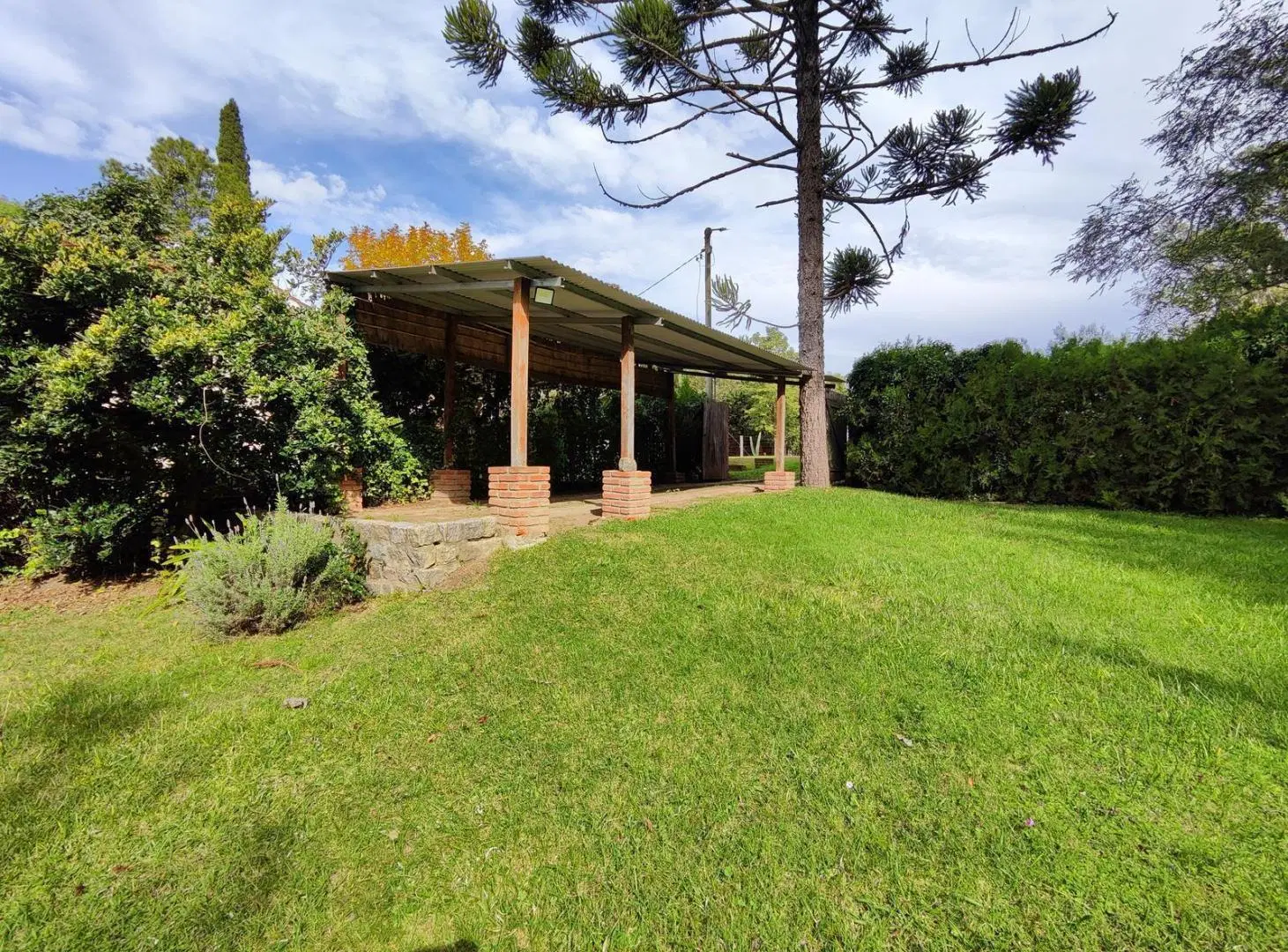 Casa con 1.700 m2 de terreno Oliveros 4