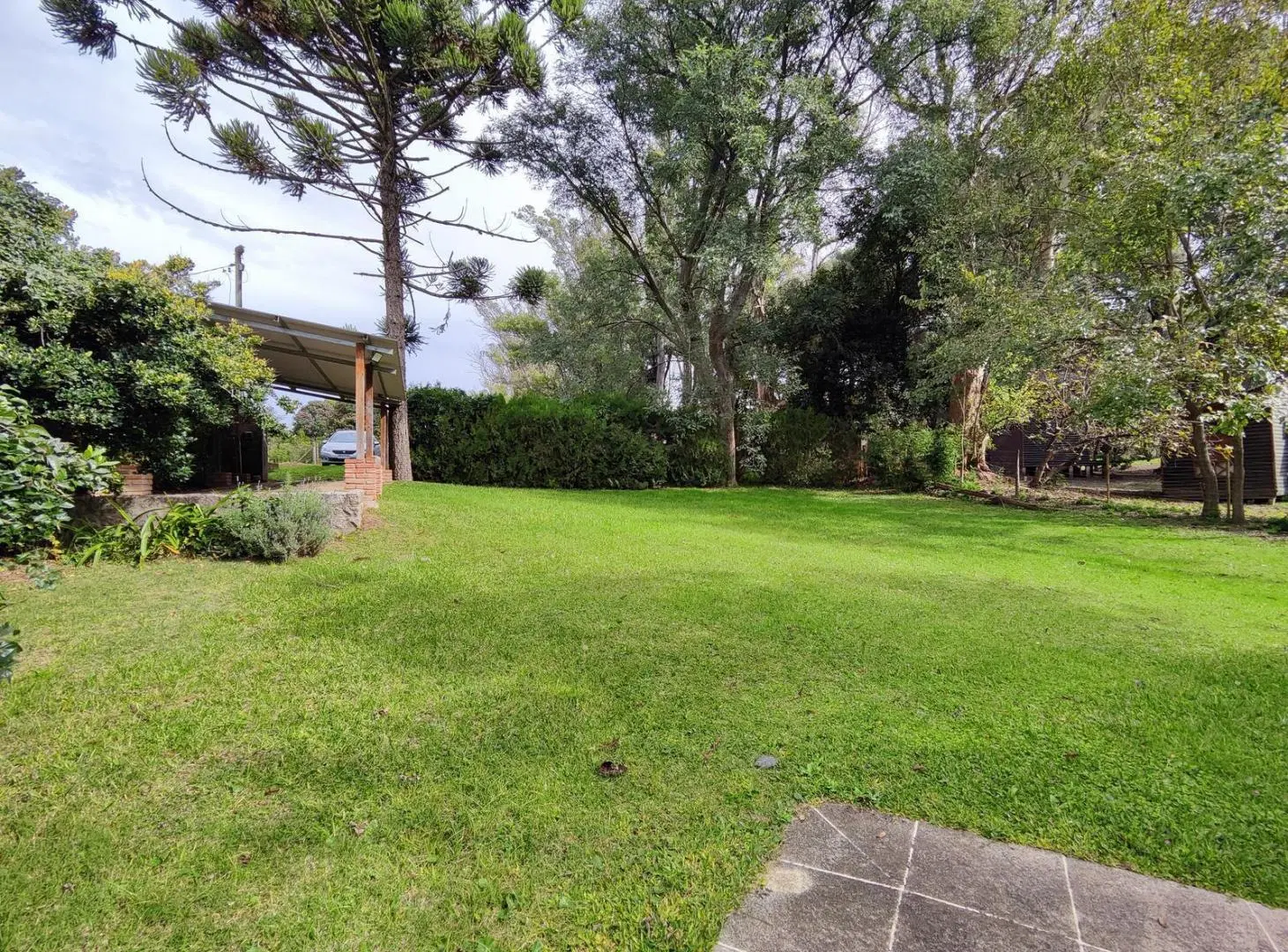 Casa con 1.700 m2 de terreno Oliveros 5