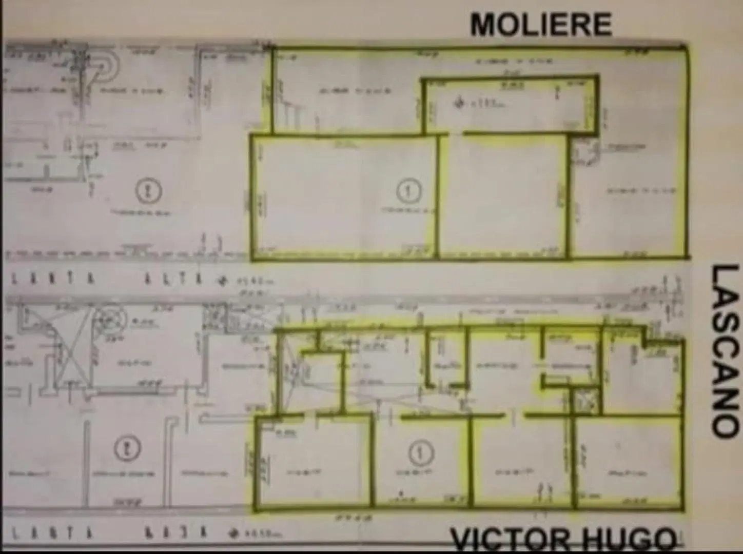 Plano 1