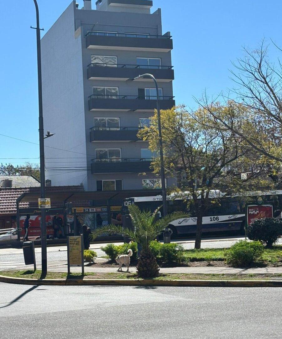 Foto de Lote - Velez Sarsfield, imagen 3