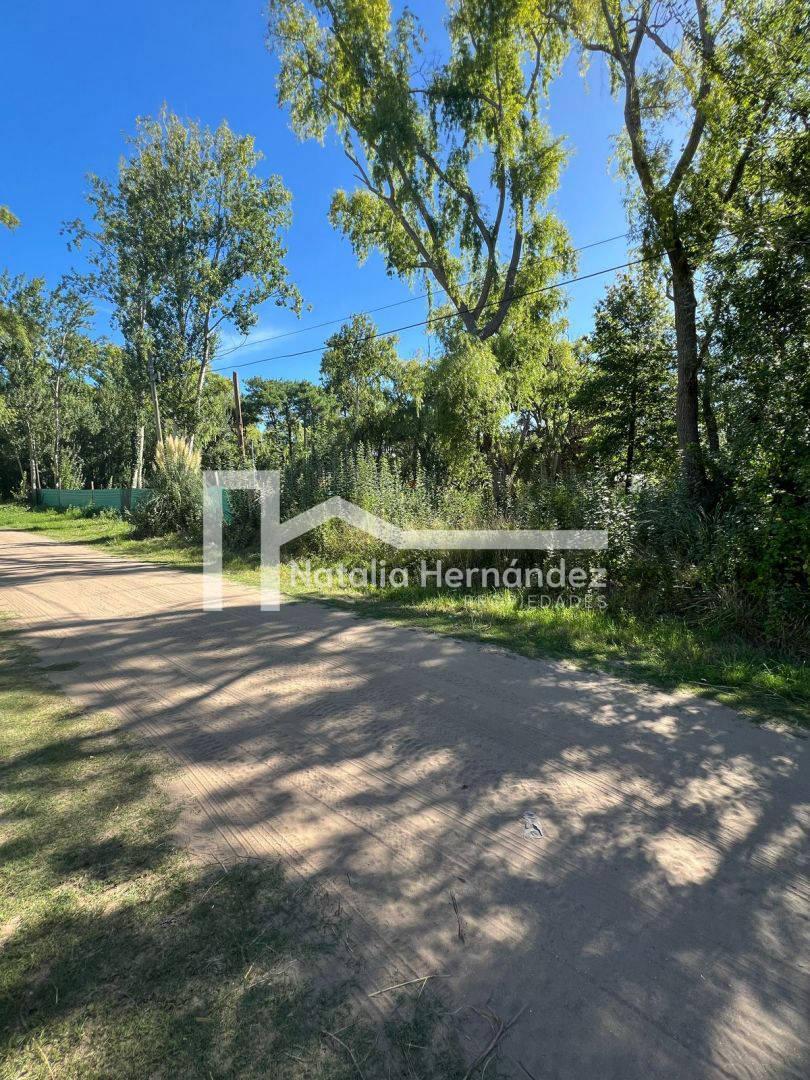 Lote. | Los Malvones 3