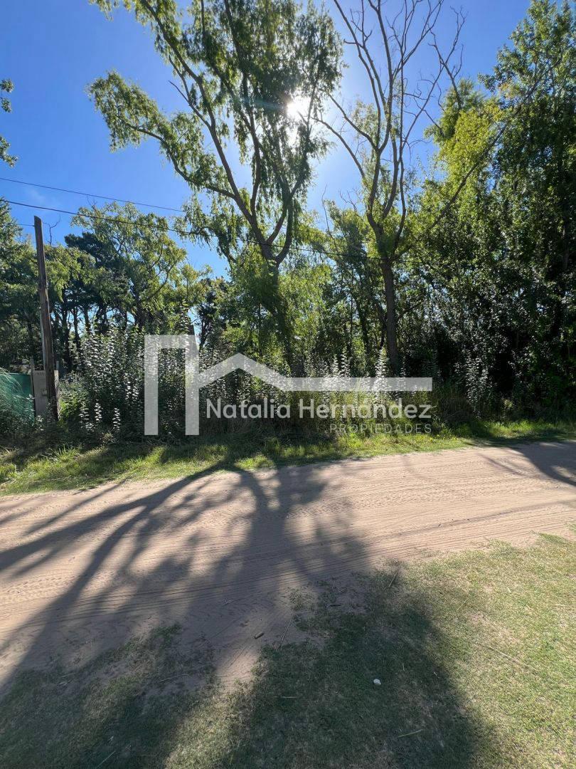 Lote. | Los Malvones 4