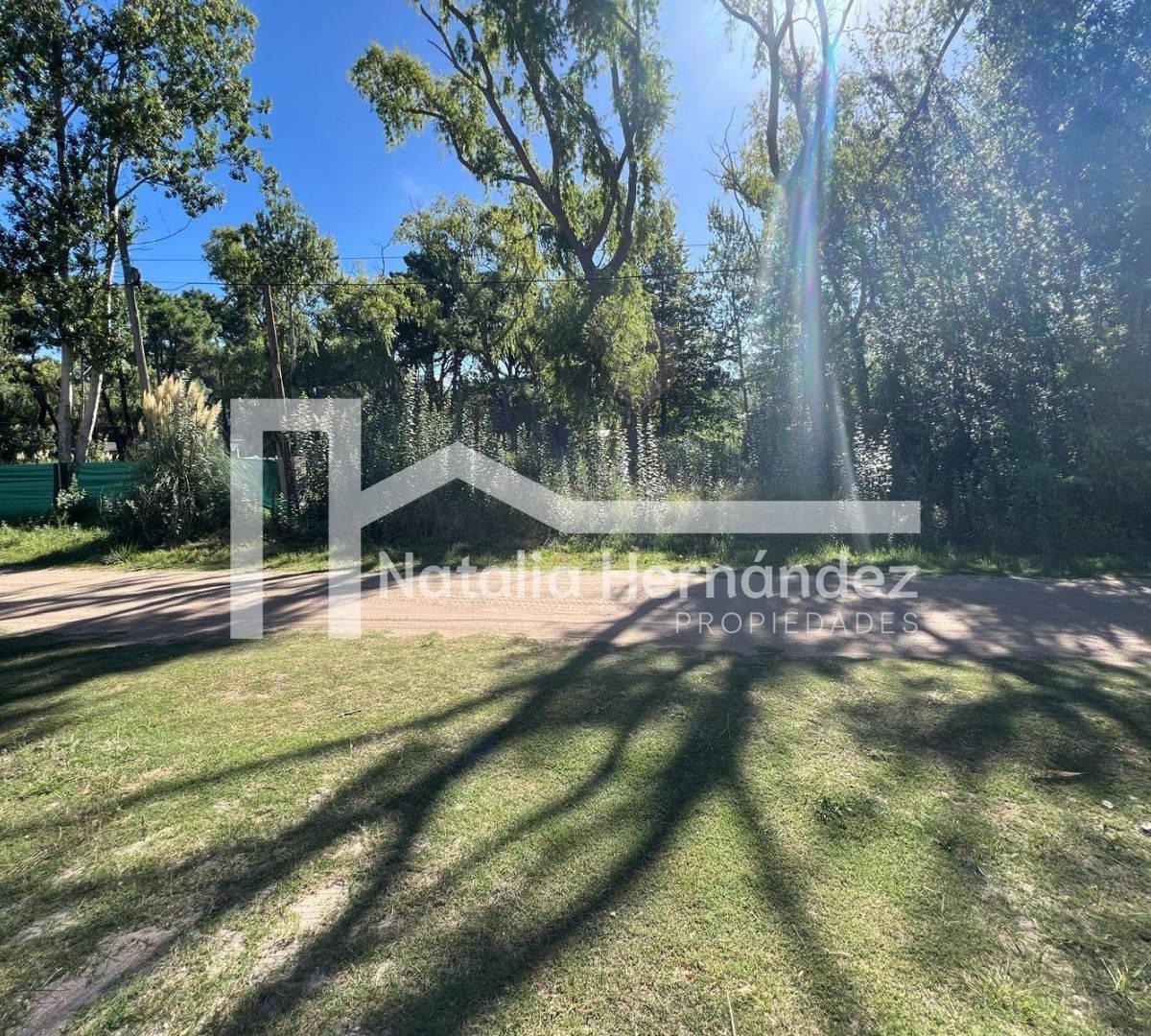 Lote. | Los Malvones 5