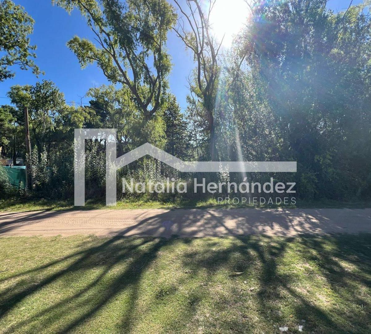Lote. | Los Malvones 2