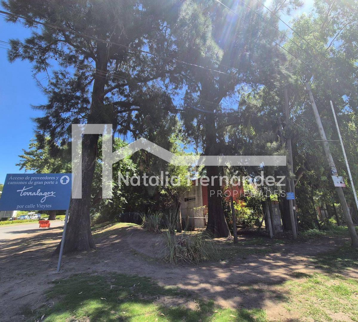 Lote . | Av. Mariano Castex 5761