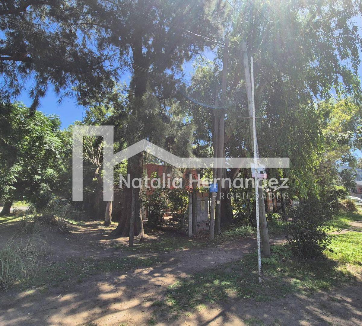 Foto de Terreno en venta en canning, imagen 4