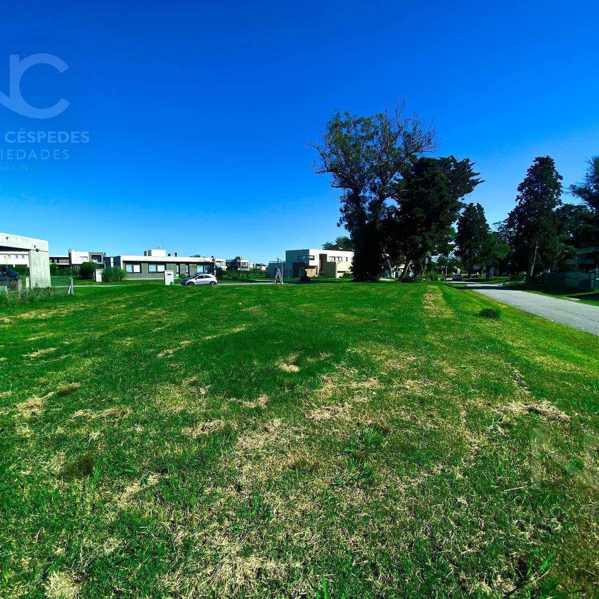 Lote en Venta en Greenville Polo & Resort 3