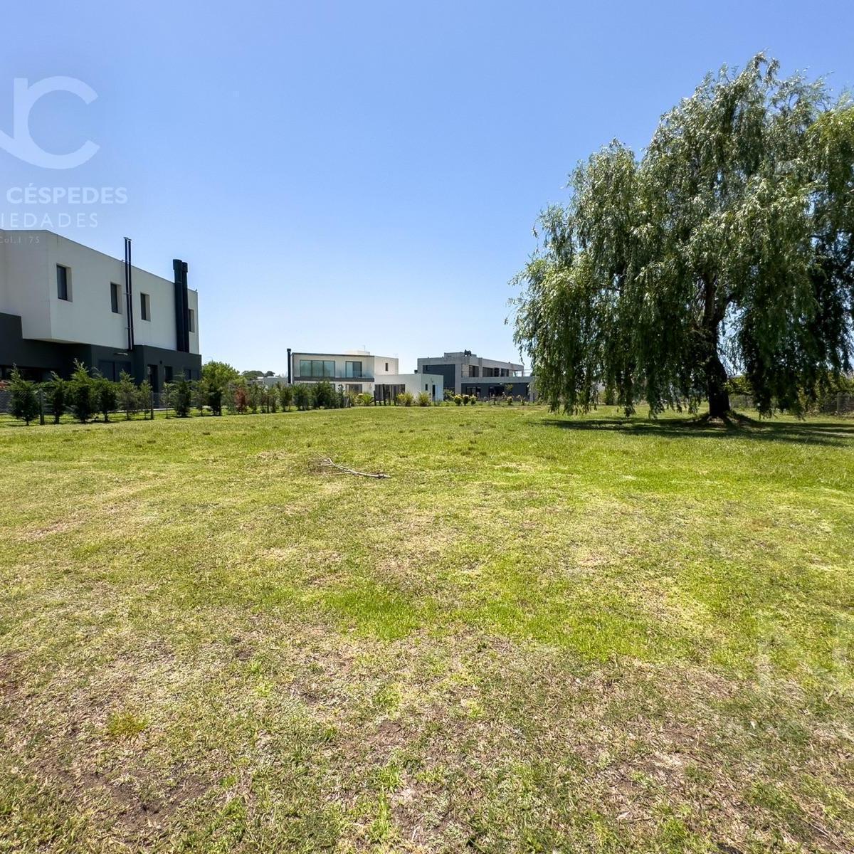 Lote Central en Venta! 3