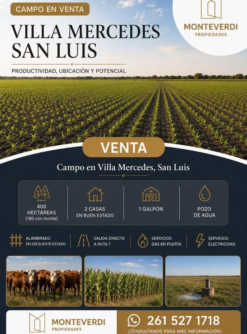 CAMPO EN VENTA | VILLA MERCEDES, SAN LUIS