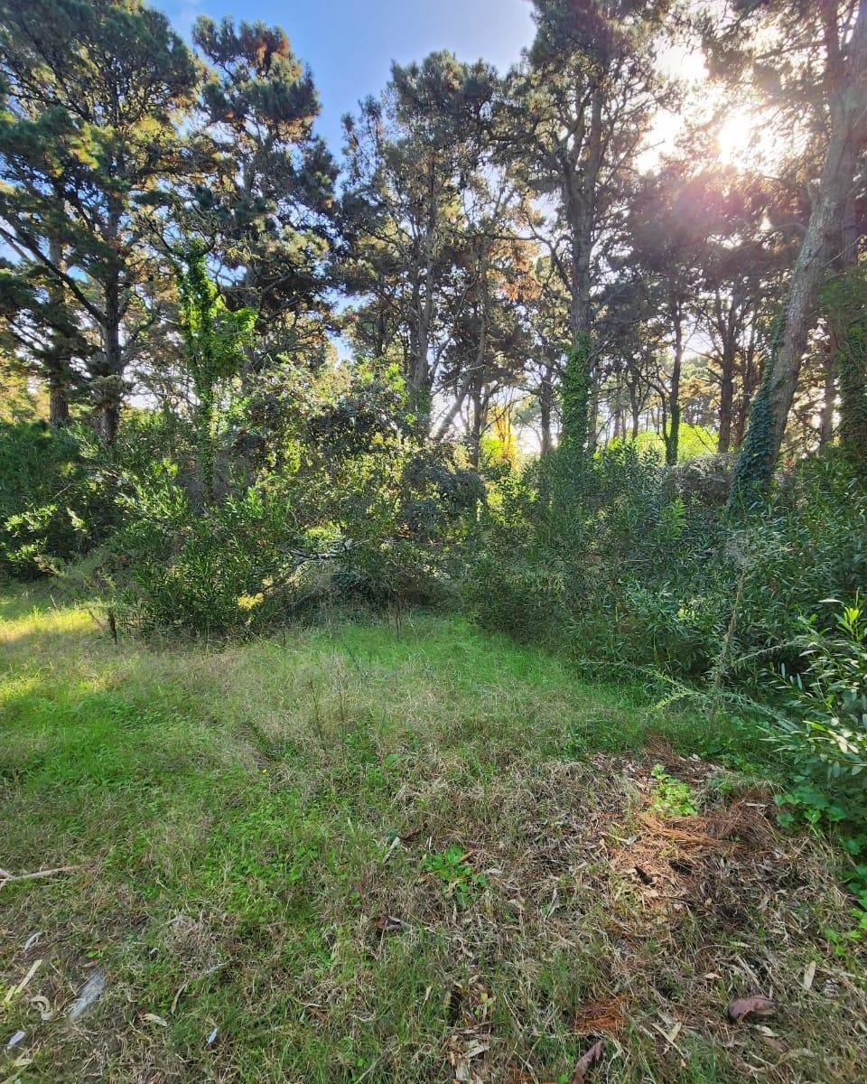 Lote de 739.60 m² Costa del Este 2