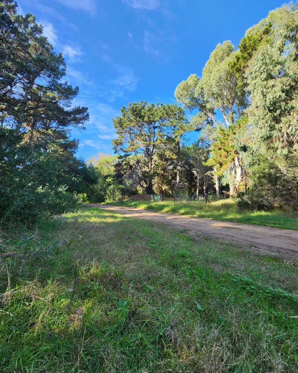 Lote de 739.60 m² Costa del Este 5