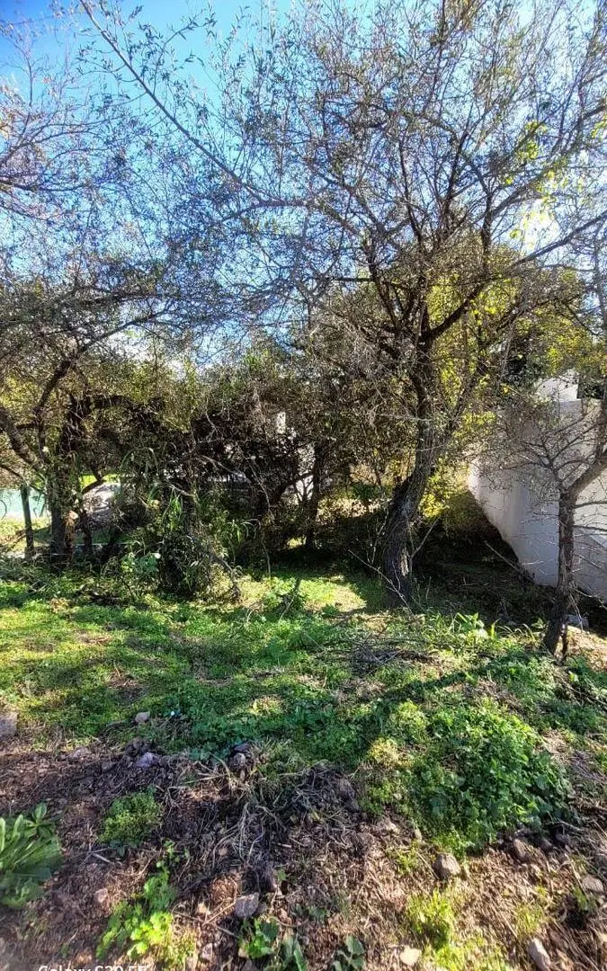 Terreno en Villa Catalina 6