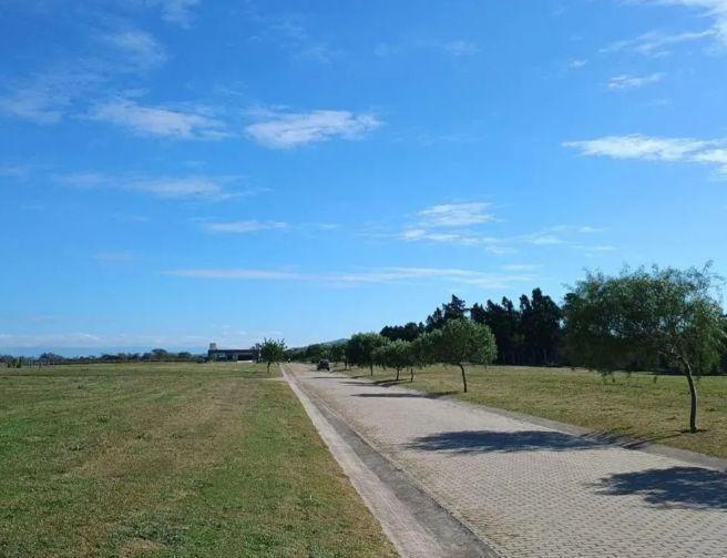 Foto de Lote de 503 m2 en Acquavista, imagen 5