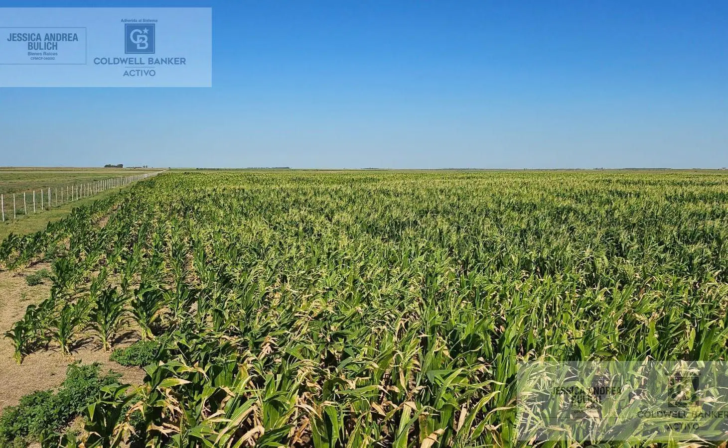 Campo en General Soler 2