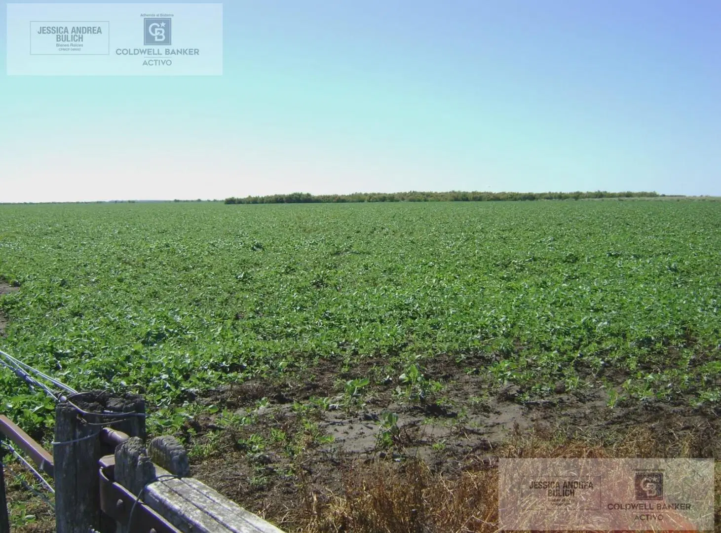 Campo en General Soler 3
