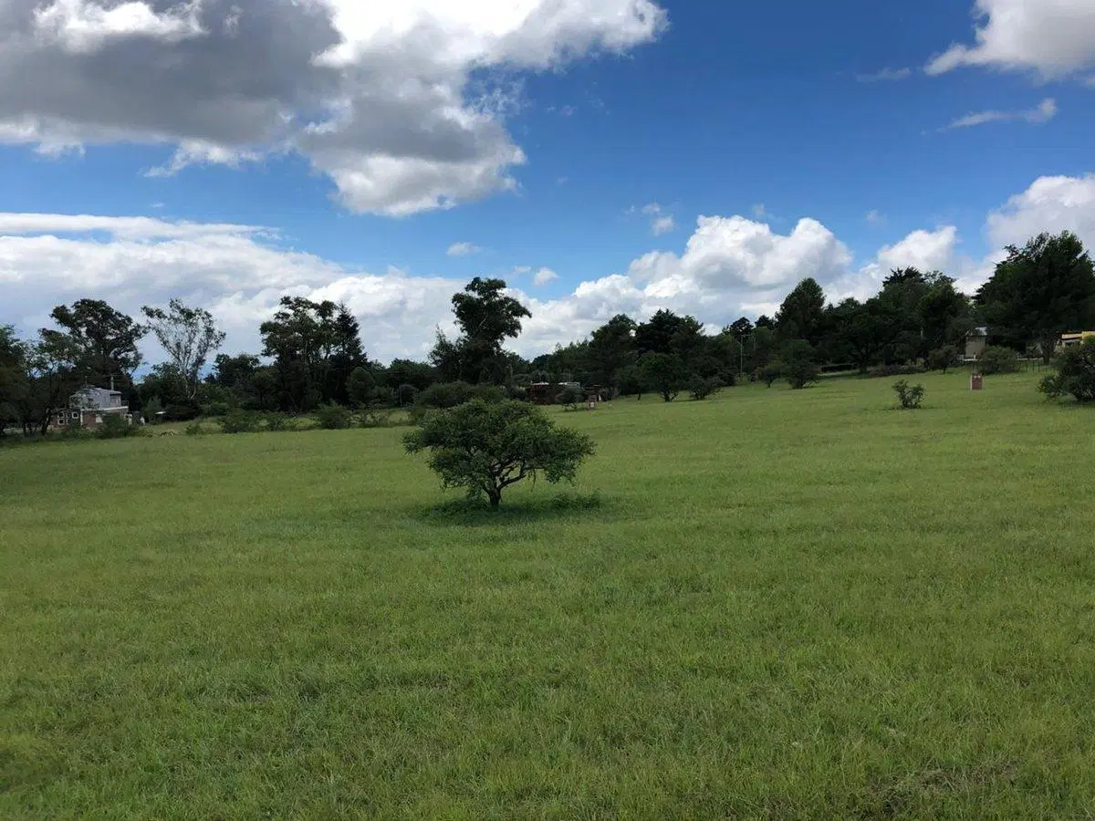 VENTA LOTE PUNTO CLARO LOS REARTES 1000M2 2