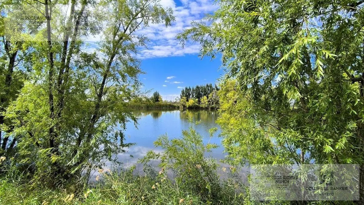 Venta campo en Lavalle 3