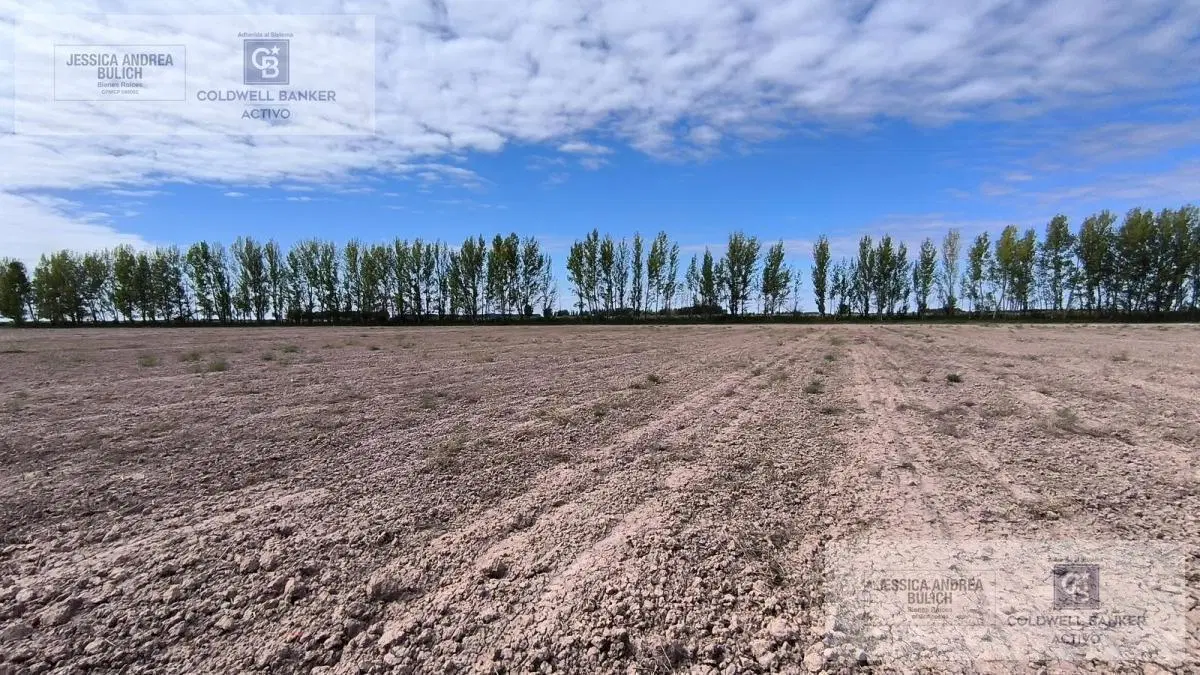 Venta campo en Lavalle 2