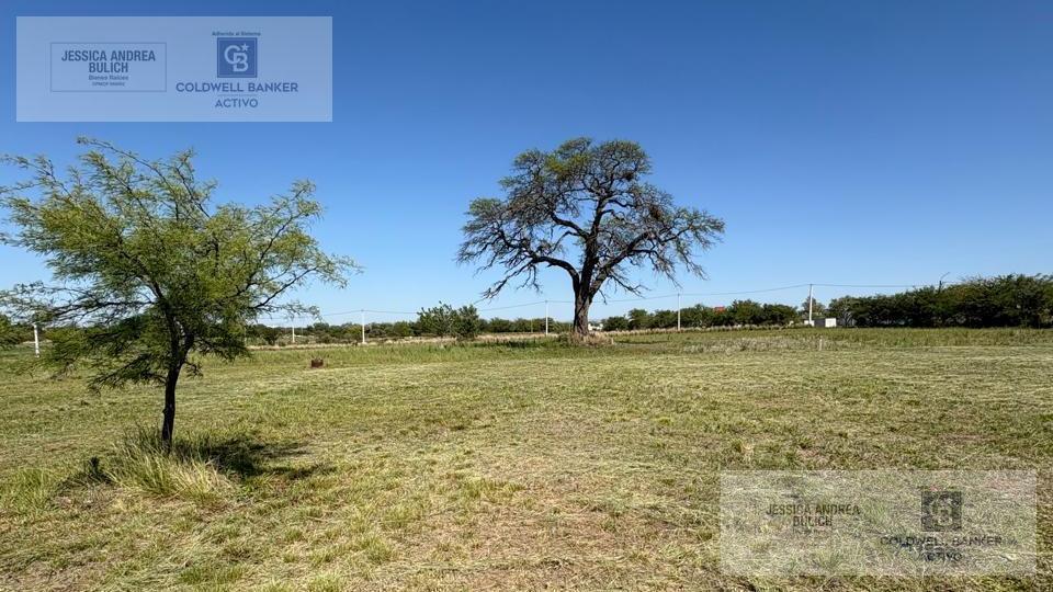 Venta terreno de 1000m2 en Sinsacate