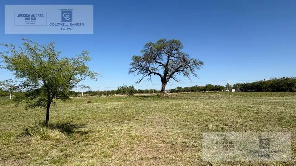 Venta terreno de 1000m2 en Sinsacate 3