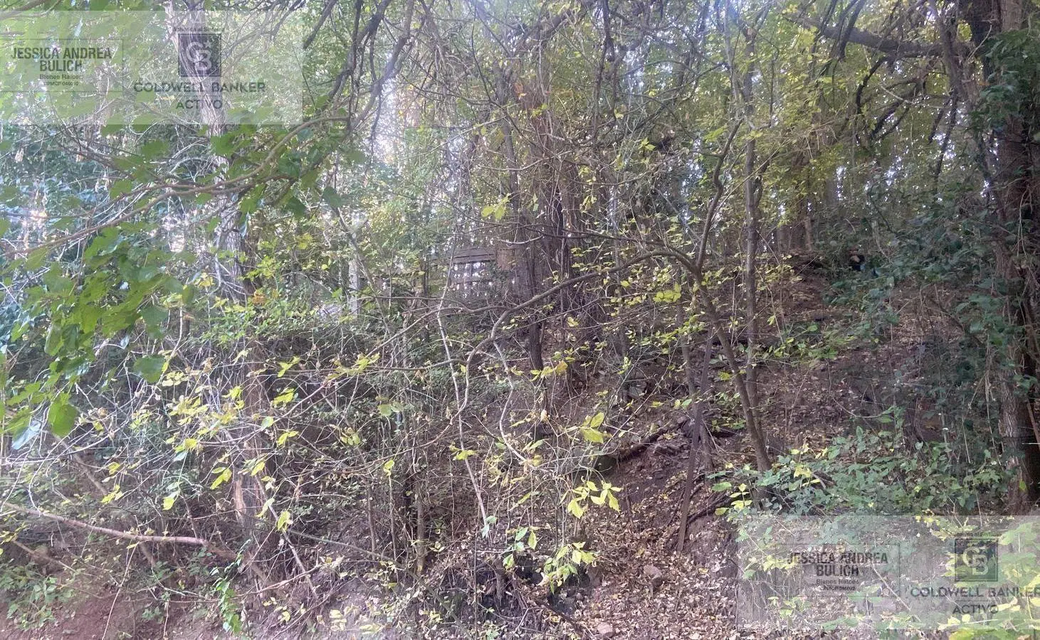 VENTA 3 LOTES EN COSQUÍN 4