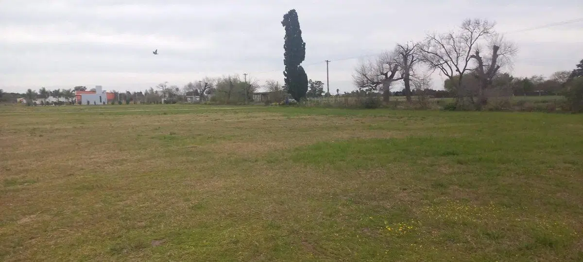 VENTA LOTE MIRAMAR DE ANSENUZA 800 M2 5