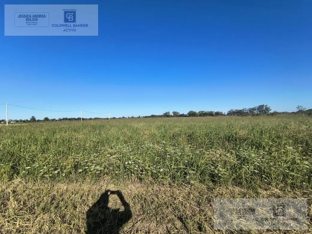 Venta terreno en Miramar de Ansenuza San Justo Córdoba 2