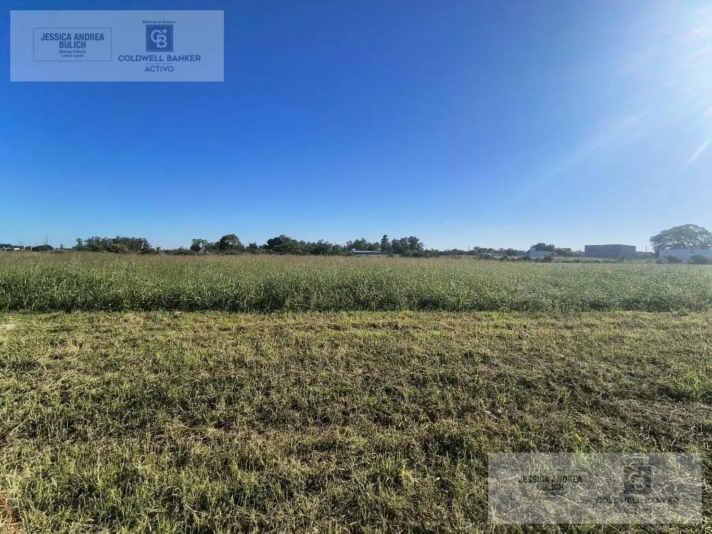 Venta terreno en Miramar de Ansenuza San Justo Córdoba 3