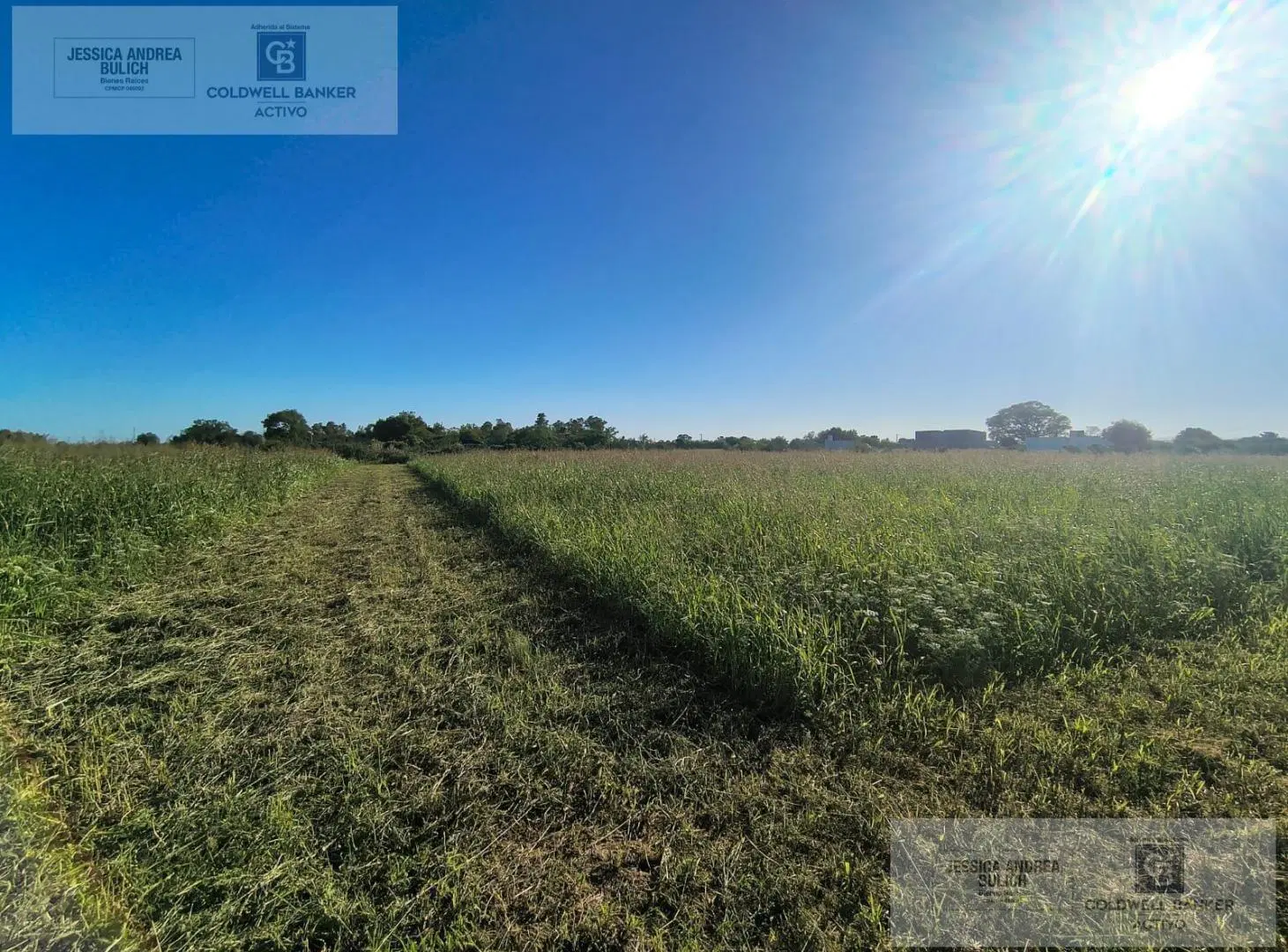 Venta terreno en Miramar de Ansenuza San Justo Córdoba 5