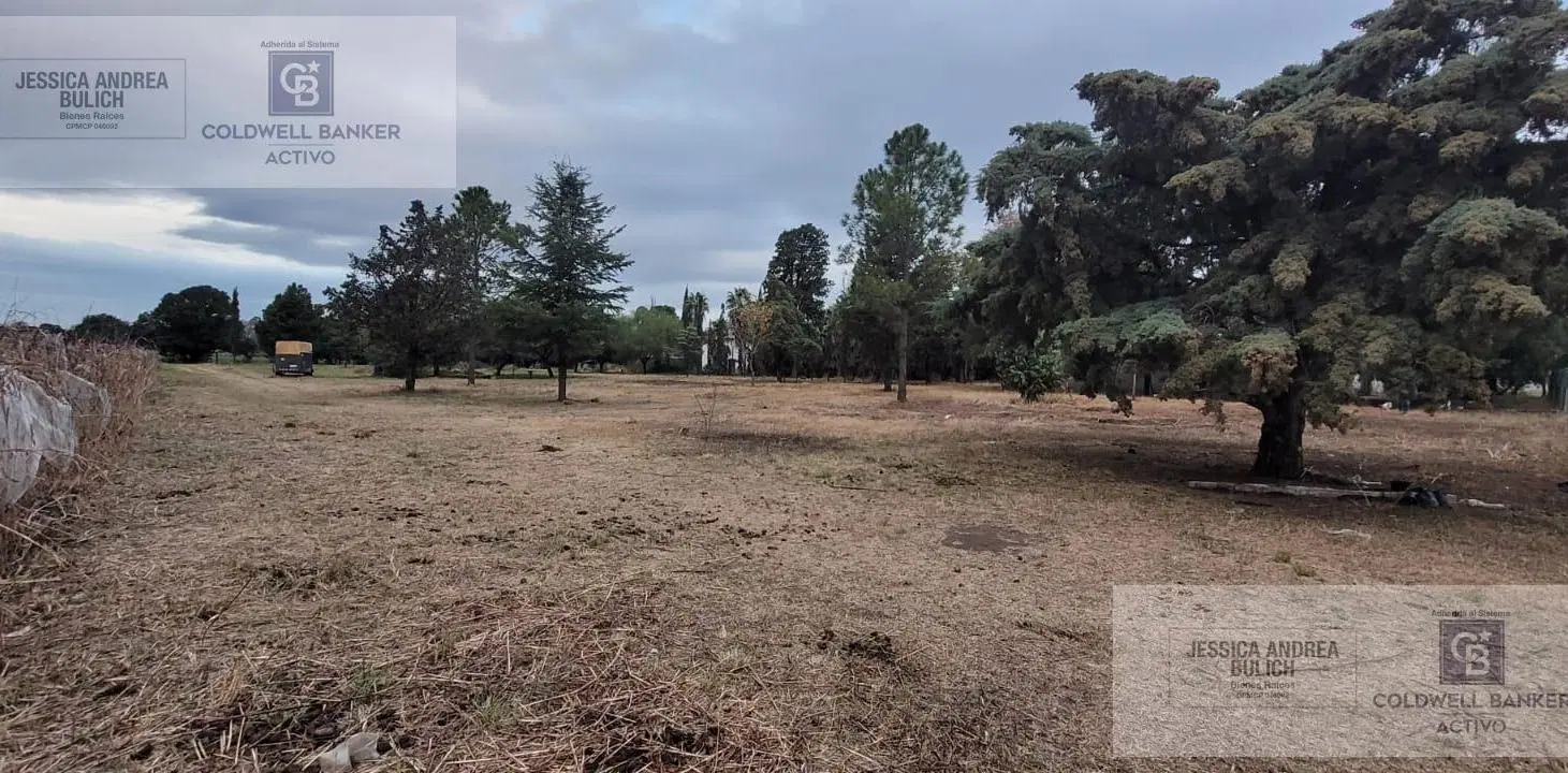 Finca en Colonia Caroya 5