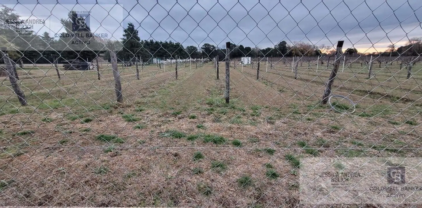 Finca en Colonia Caroya 2