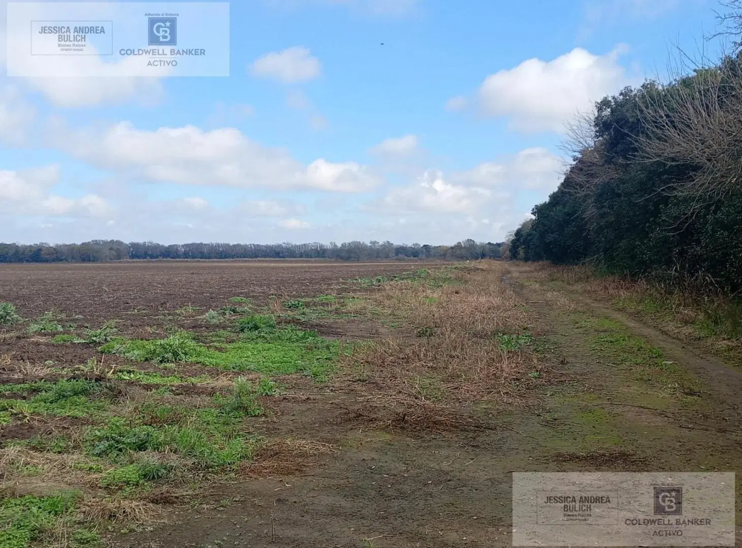 VENTA CAMPO PARA DESARROLLO INMOBILIARIO COLONIA TIROLESA 3