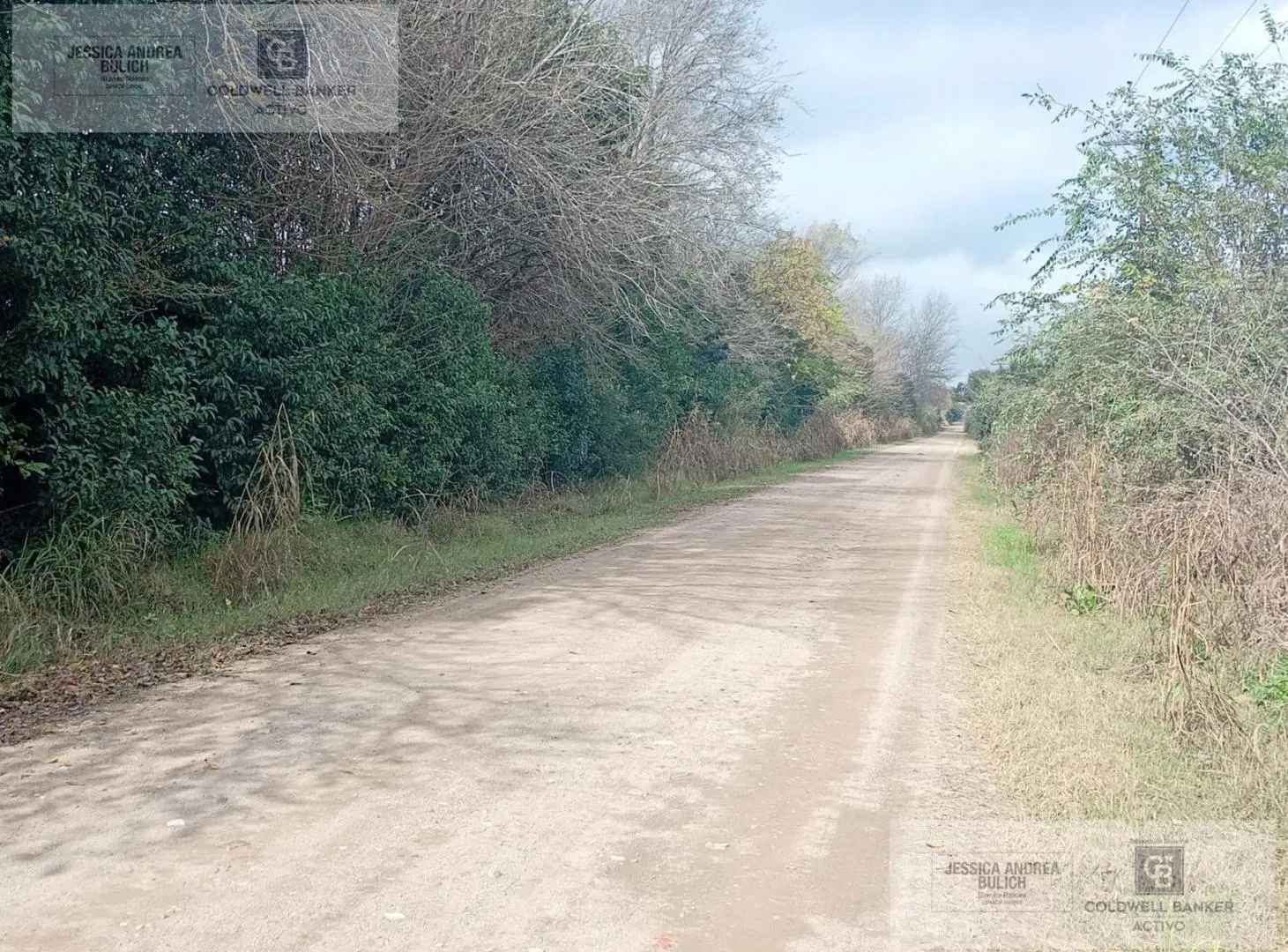 VENTA CAMPO PARA DESARROLLO INMOBILIARIO COLONIA TIROLESA 5