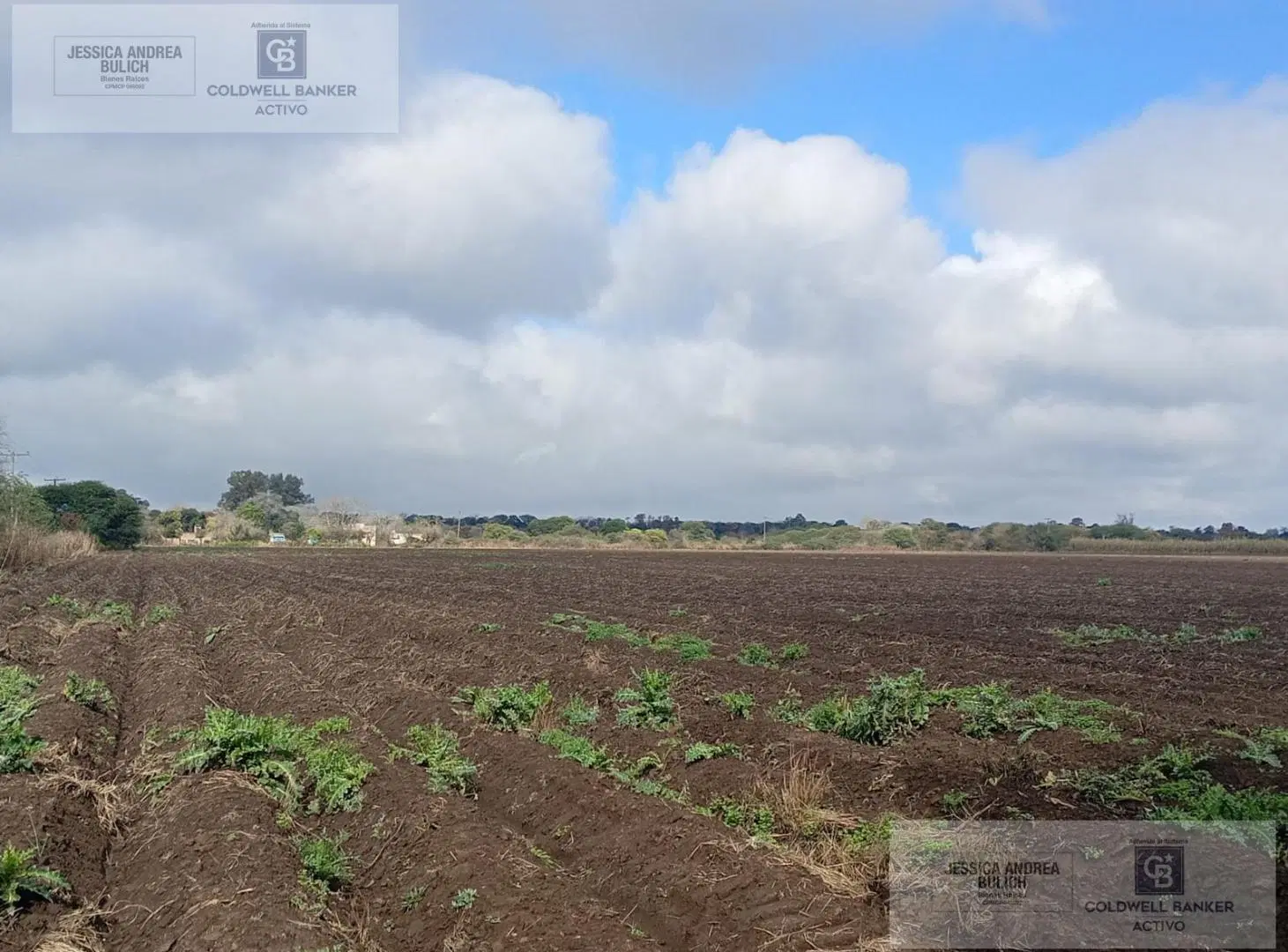 VENTA CAMPO PARA DESARROLLO INMOBILIARIO COLONIA TIROLESA 4