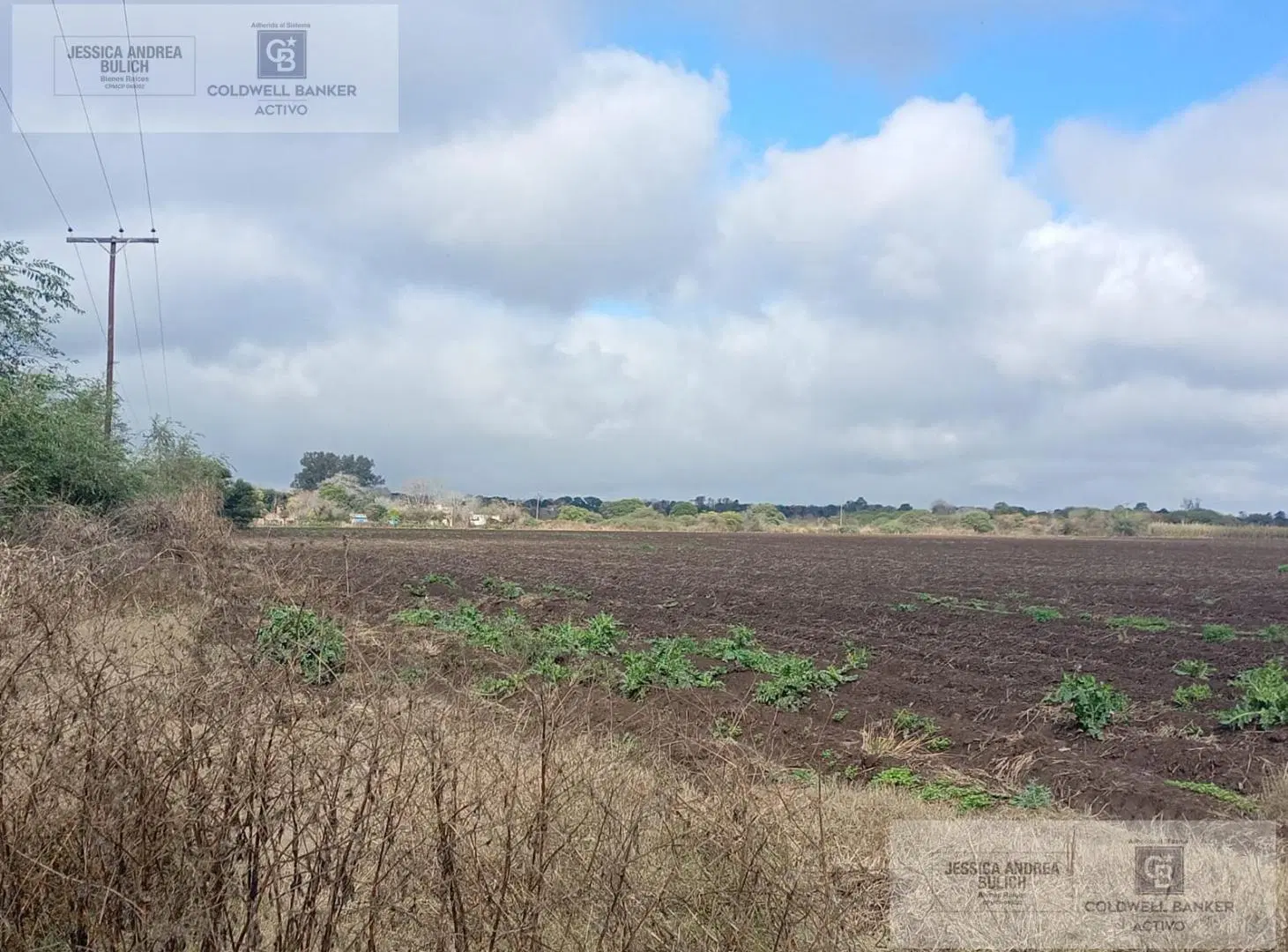 VENTA CAMPO PARA DESARROLLO INMOBILIARIO COLONIA TIROLESA 2