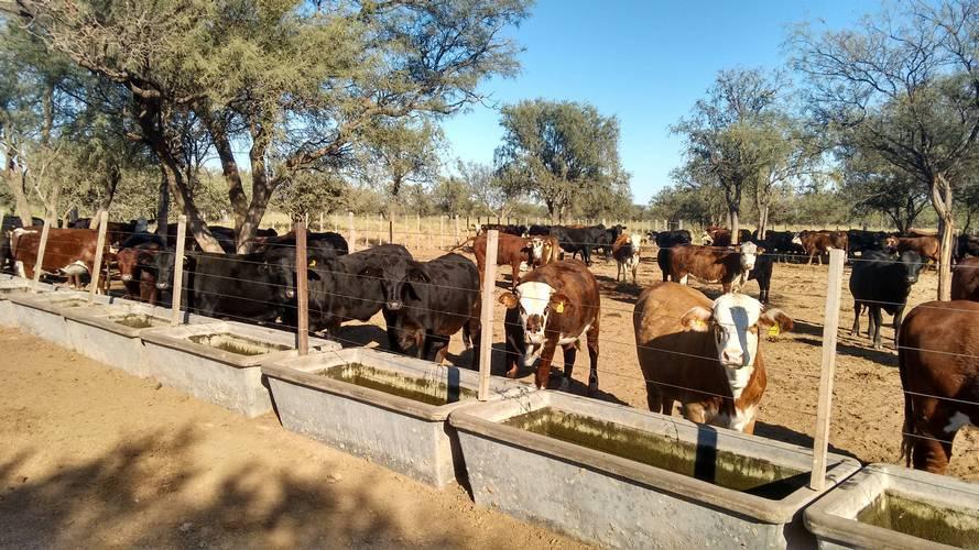 Foto de Venta Campo en Lucio V Mansilla, imagen 2