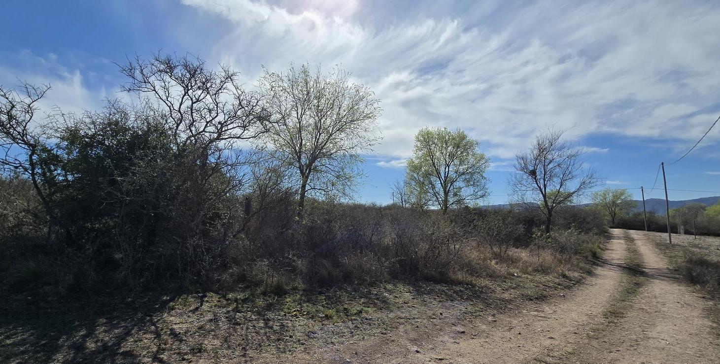 Foto de VENTA LOTE MIRADOR DEL LAGO 635 M2, imagen 4