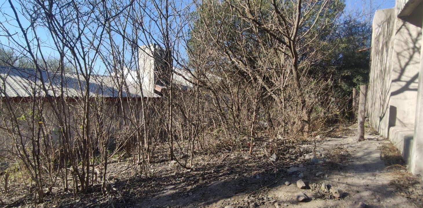 Foto de VENTA TERRENO EL PUEBLITO SALSIPUEDES, imagen 5