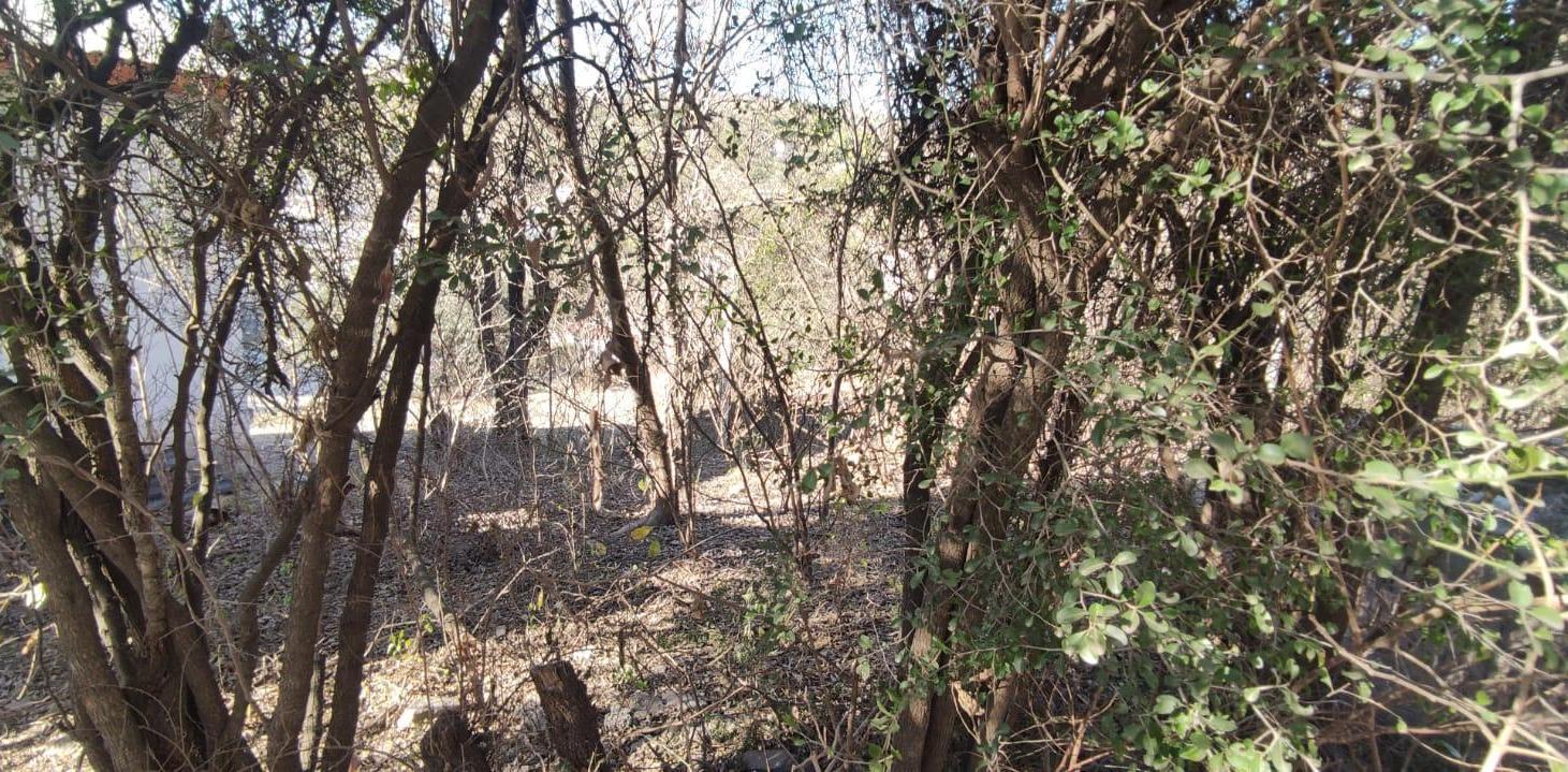 Foto de VENTA TERRENO EL PUEBLITO SALSIPUEDES, imagen 3
