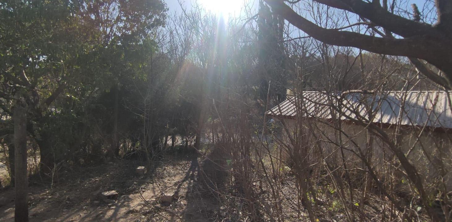 Foto de VENTA TERRENO EL PUEBLITO SALSIPUEDES, imagen 4