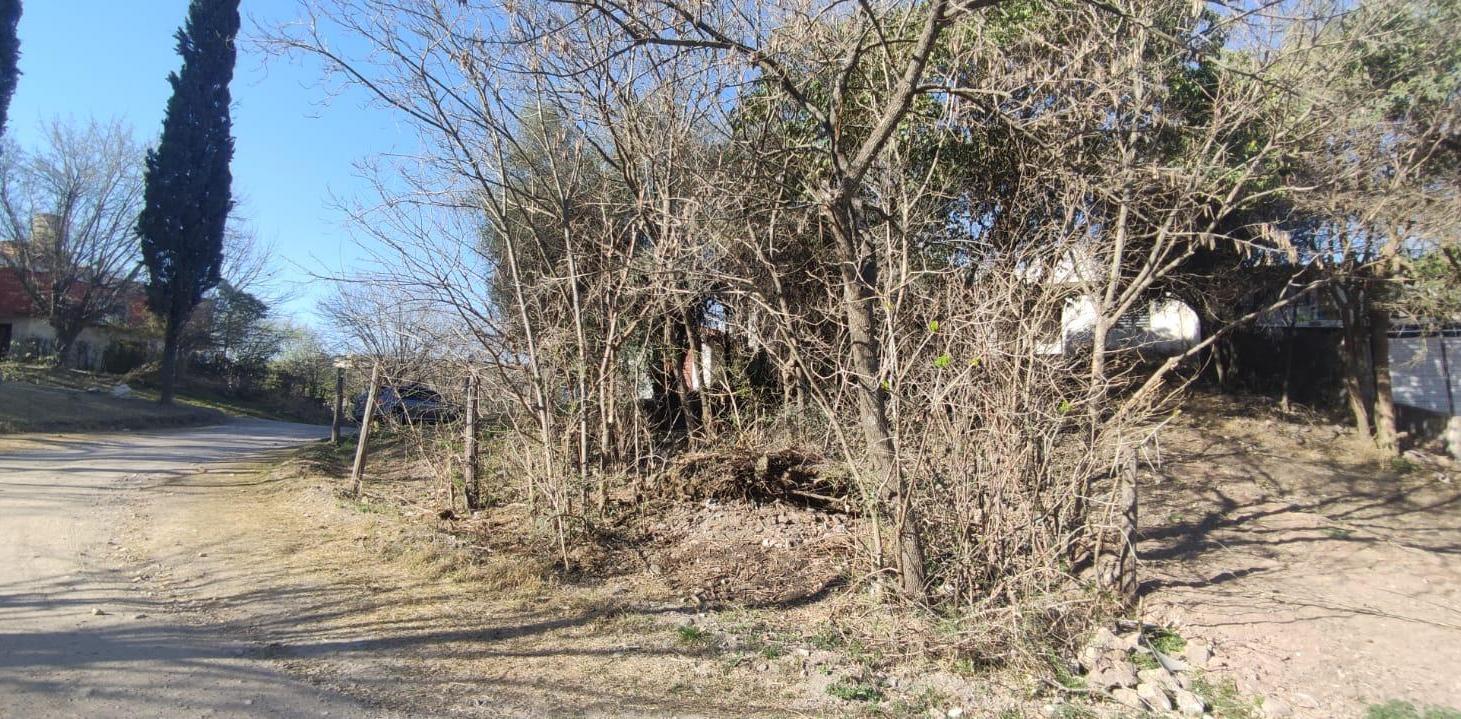 Foto de VENTA TERRENO EL PUEBLITO SALSIPUEDES, imagen 1