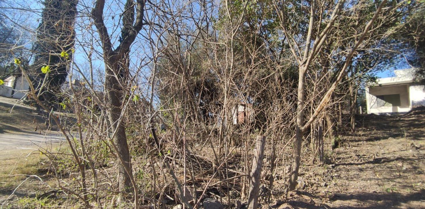 Foto de VENTA TERRENO EL PUEBLITO SALSIPUEDES, imagen 2