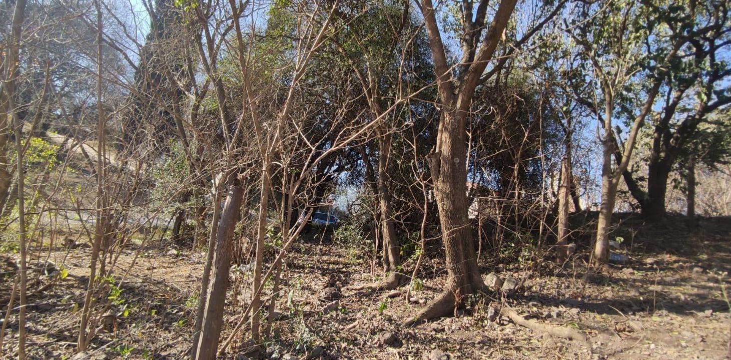 Foto de VENTA TERRENO EL PUEBLITO SALSIPUEDES, imagen 5